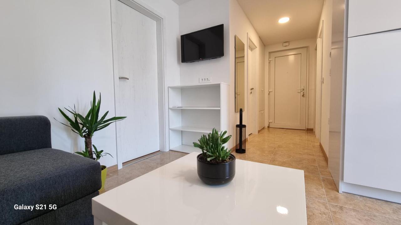 Apartment Rivarela Blu - Newly Renovated And Top Location Near Sea Novigrad Istria Esterno foto